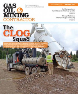 January 2011 Cover